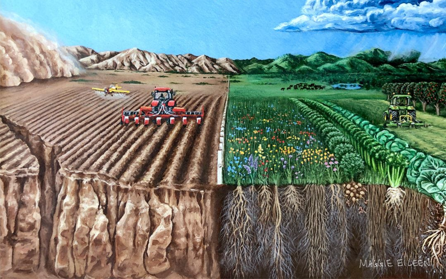 regenerative farming vs. conventional farming