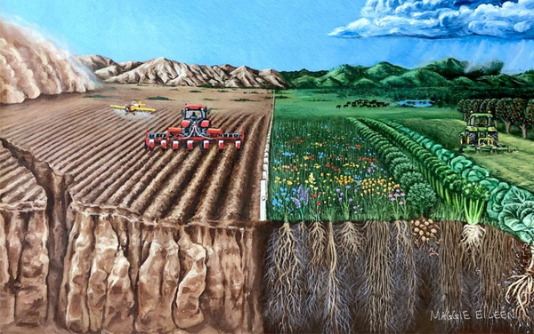 regenerative farming vs. conventional farming