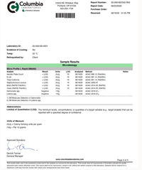 Respiration & Immune Support Tincture - WHSL 6 - FuFluns' Foods