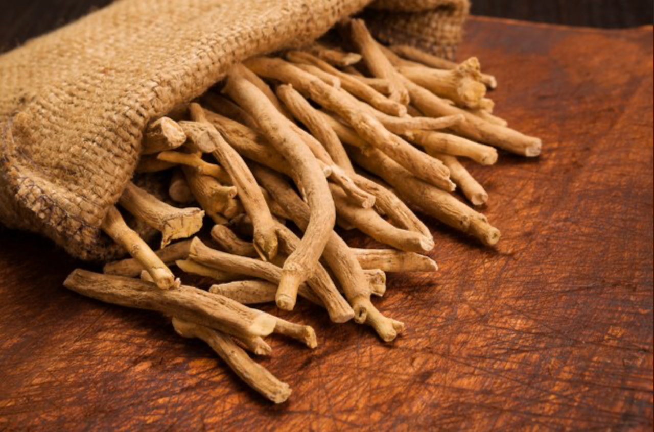 Ashwagandha: Herbal Marvel for Holistic Wellness