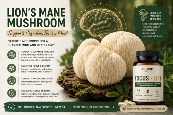 Lion’s Mane Mushroom and Brain Health