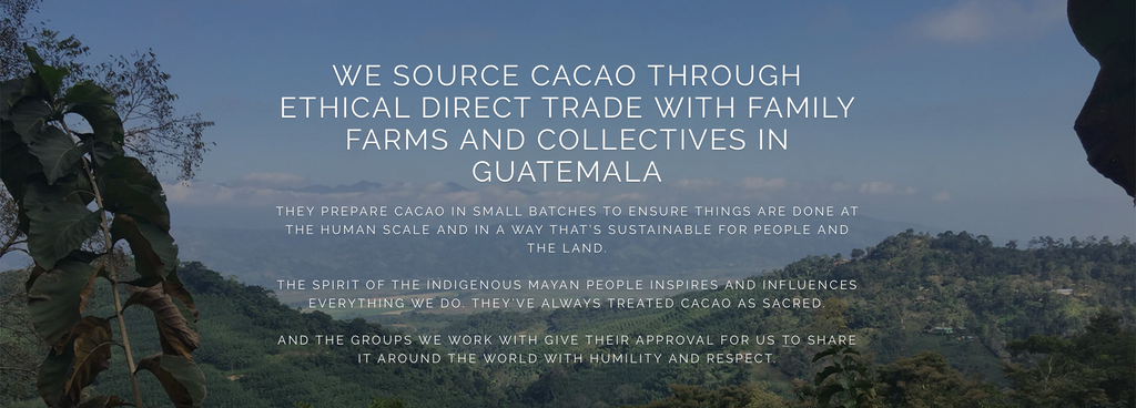 cacao fair trade
